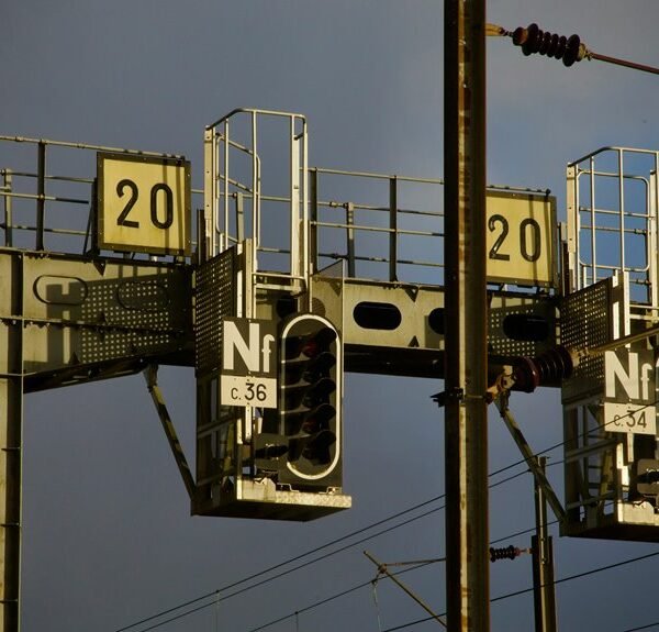 industry signal analysis report